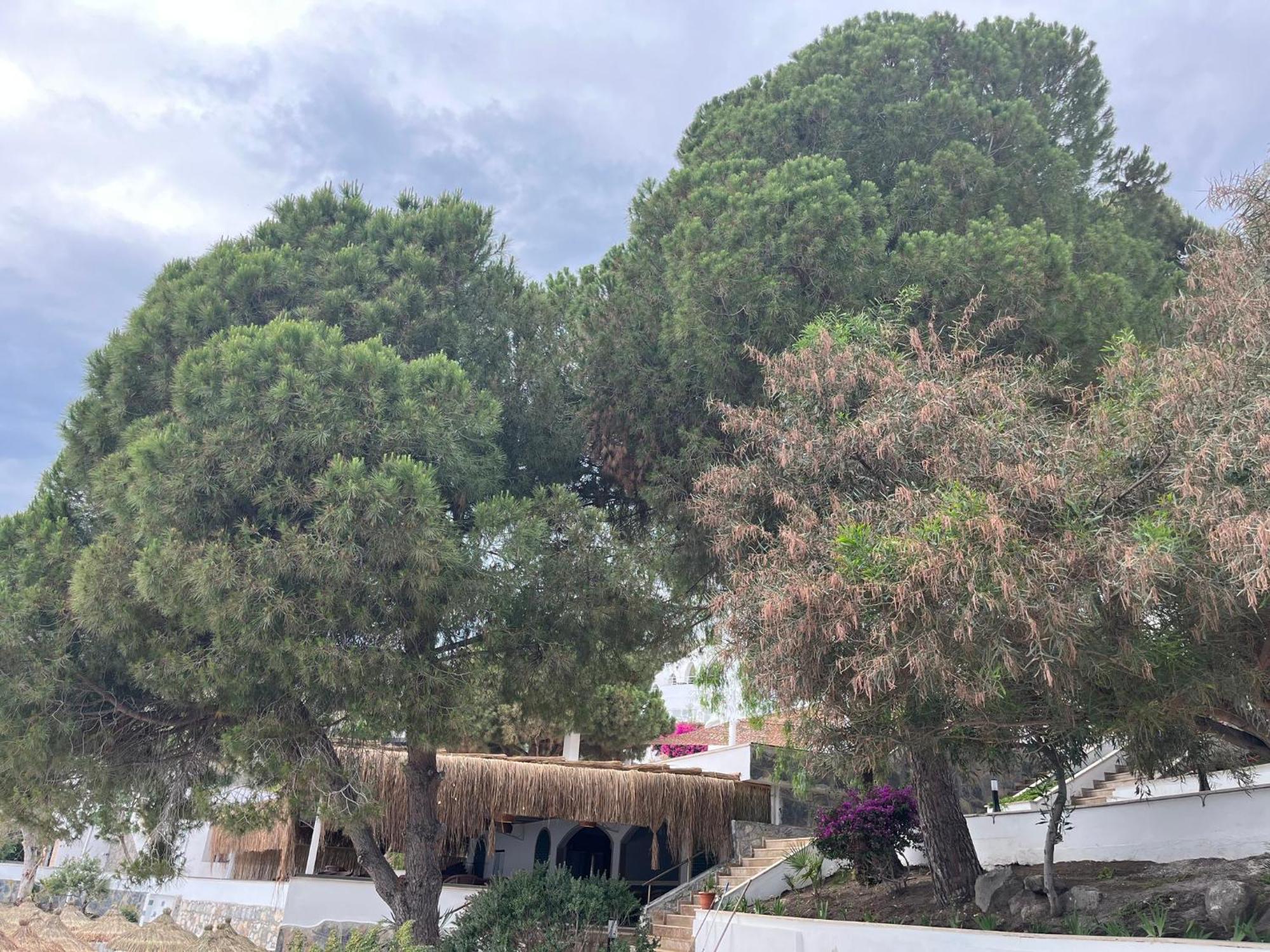 Holiday Inn Resort Bodrum By Ihg ภายนอก รูปภาพ